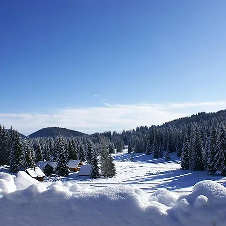 Villa Pokljuka Zgornje Gorje Exterior photo