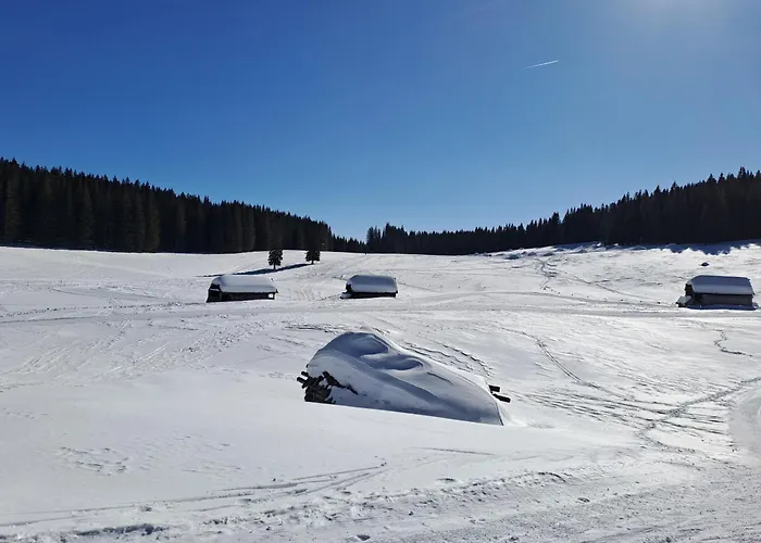Villa Pokljuka