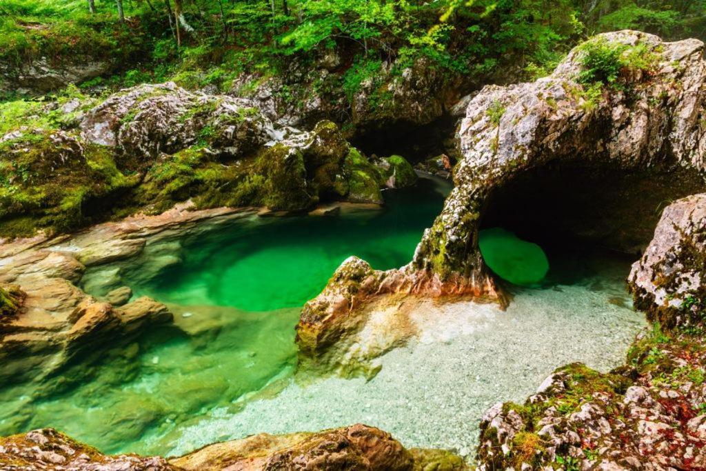 Pokljuka Hébergement de vacances Zgornje Gorje