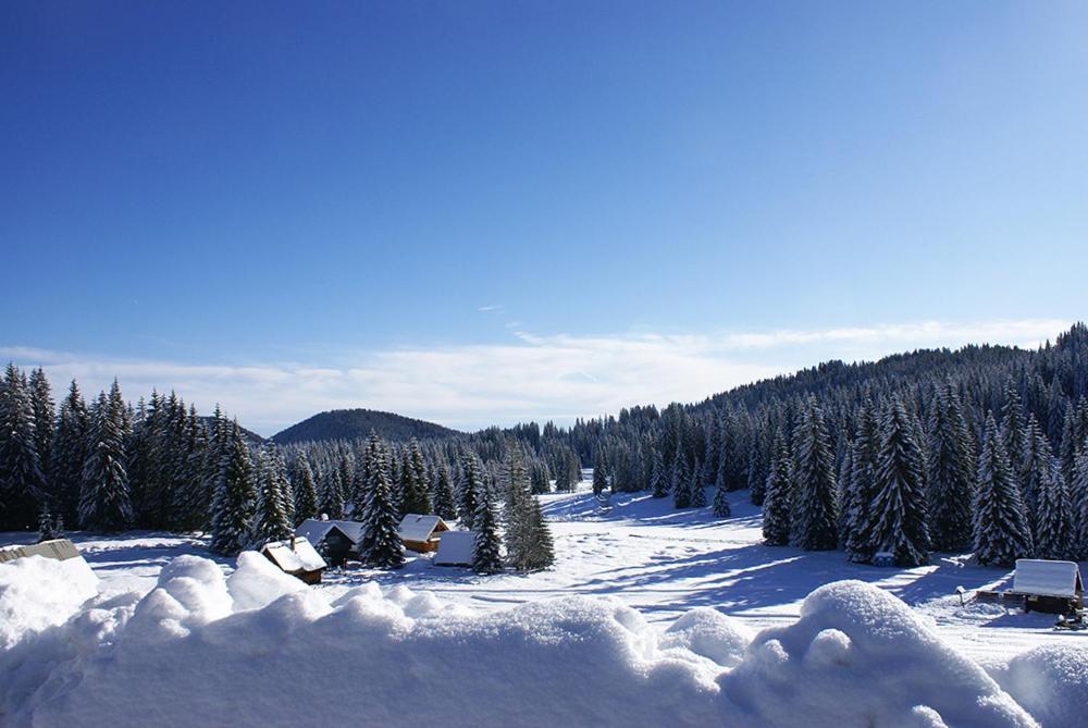 Pokljuka Hébergement de vacances *